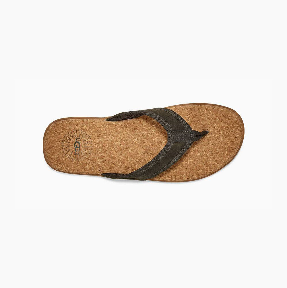 UGG Seaside Flip Flops Herren Grün Schweiz | XMQFADBZ