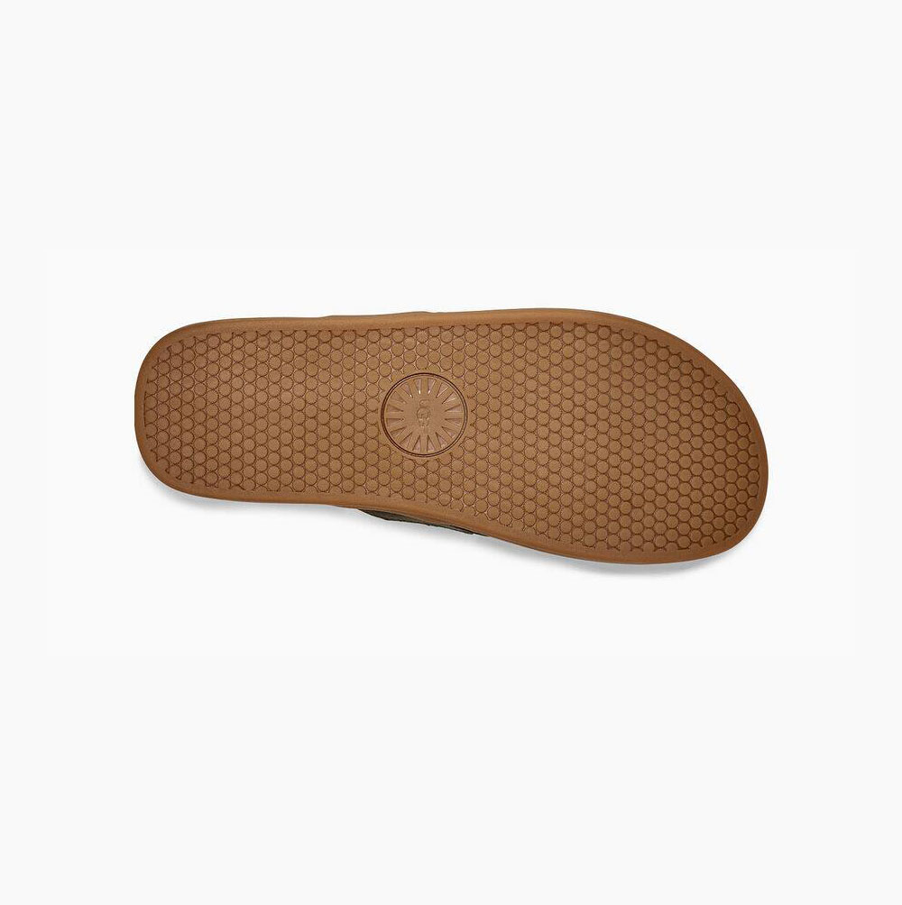 UGG Seaside Flip Flops Herren Grün Schweiz | XMQFADBZ