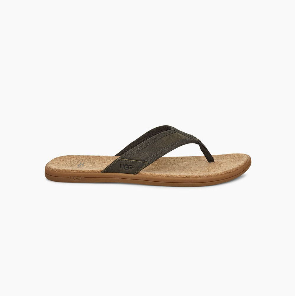 UGG Seaside Flip Flops Herren Grün Schweiz | XMQFADBZ