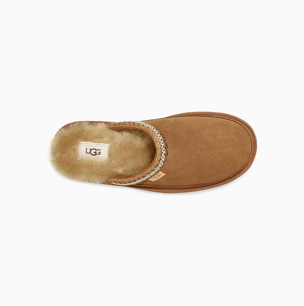 UGG Tasman Slip-On Hausschuhe Herren Braun Schweiz | JPNIILNJ