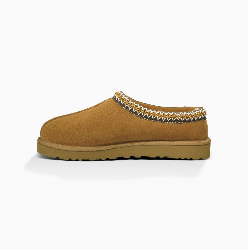 UGG Tasman Hausschuhe Tasman Herren Braun Schweiz | WNE2SLUS