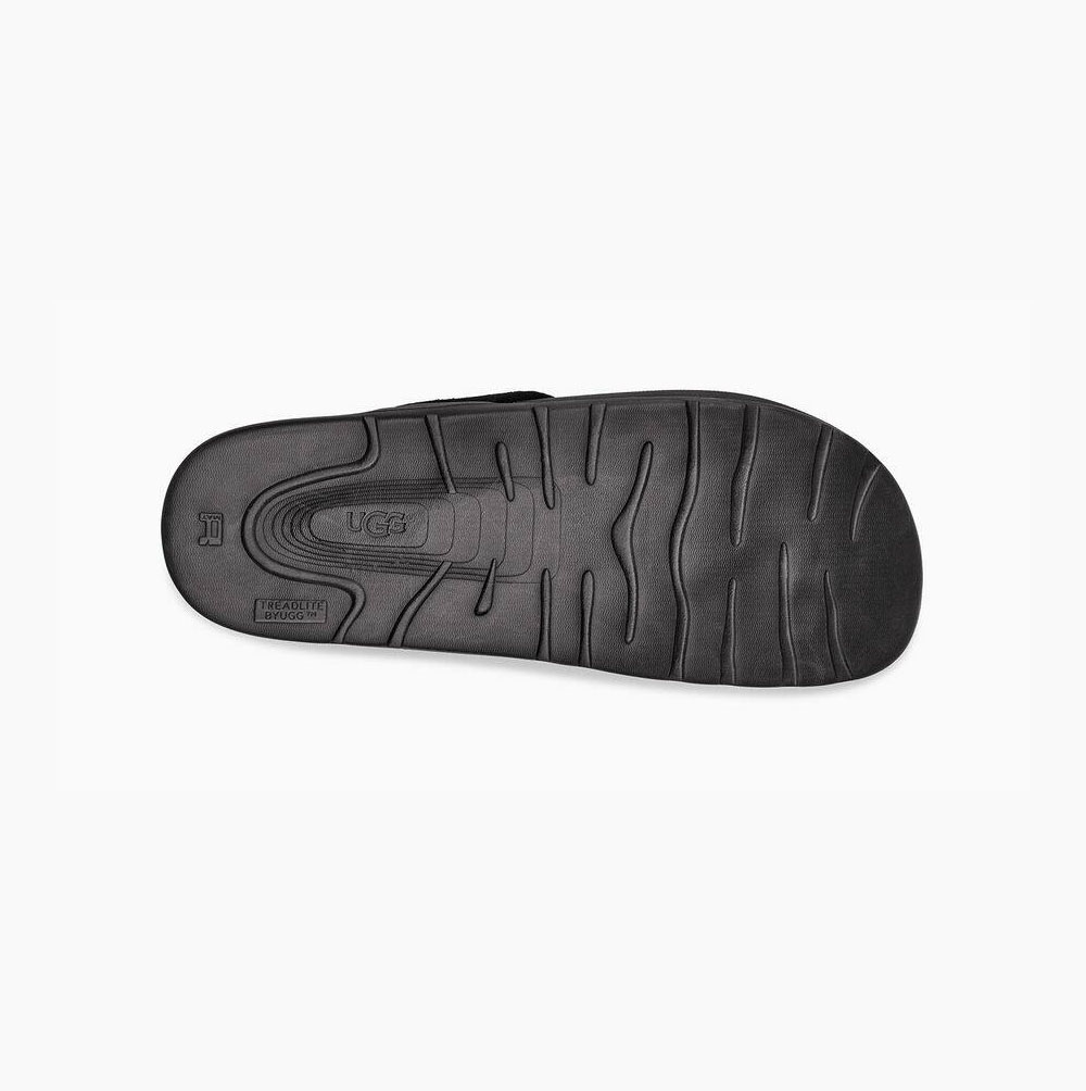 UGG Tenoch Ballistic Flip Flops Herren Schwarz Schweiz | 89YSLZBH