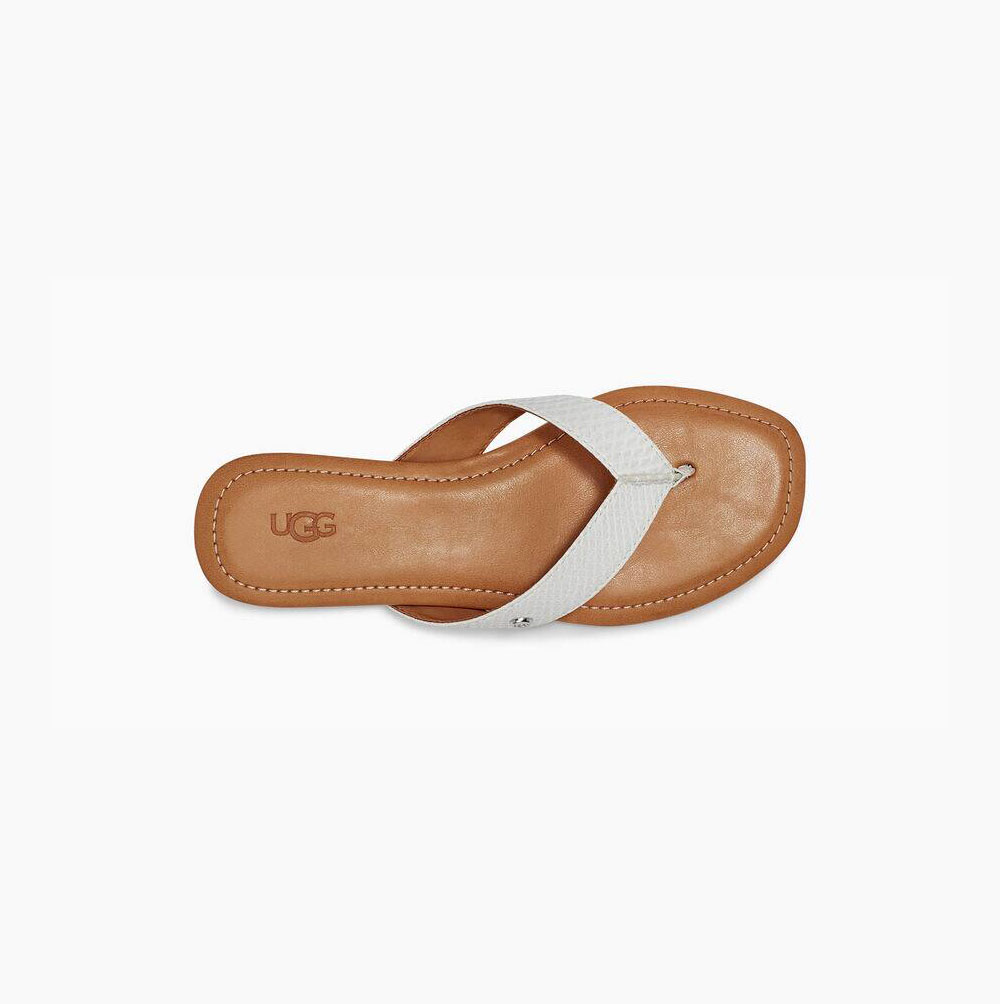 UGG Tuolumne Exotic Flip Flops Damen Weiß Schweiz | DSOM38UC