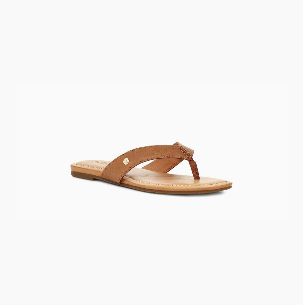 UGG Tuolumne Flip Flops Damen Braun Schweiz | OO5GD2J5