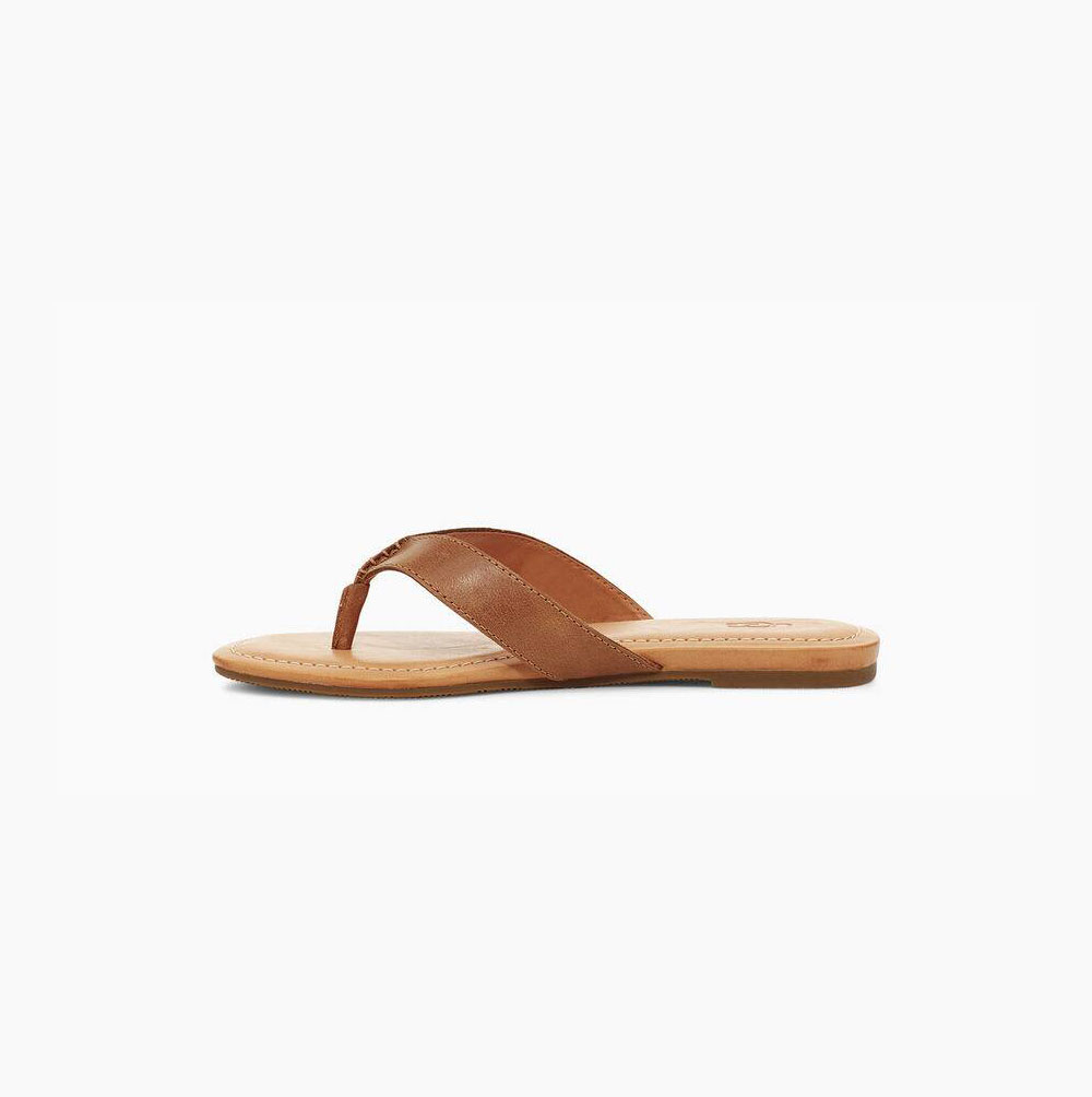 UGG Tuolumne Flip Flops Damen Braun Schweiz | OO5GD2J5