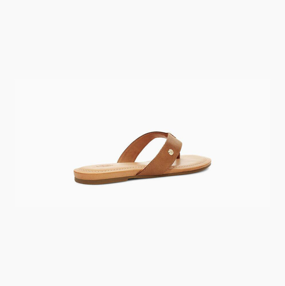 UGG Tuolumne Flip Flops Damen Braun Schweiz | OO5GD2J5