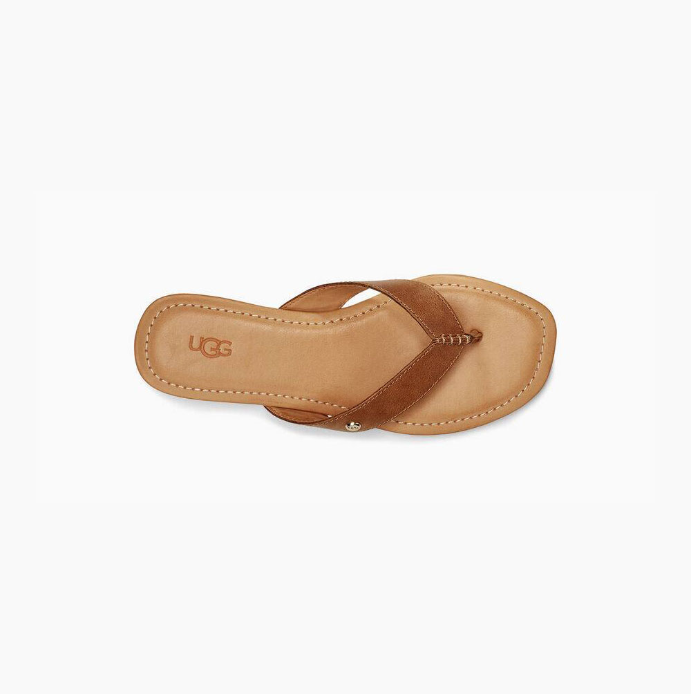 UGG Tuolumne Flip Flops Damen Braun Schweiz | OO5GD2J5