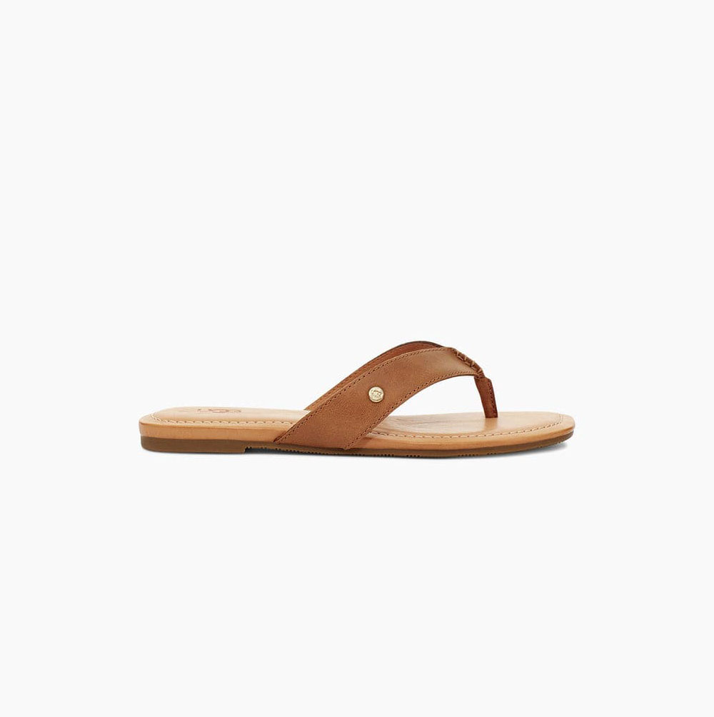 UGG Tuolumne Flip Flops Damen Braun Schweiz | OO5GD2J5