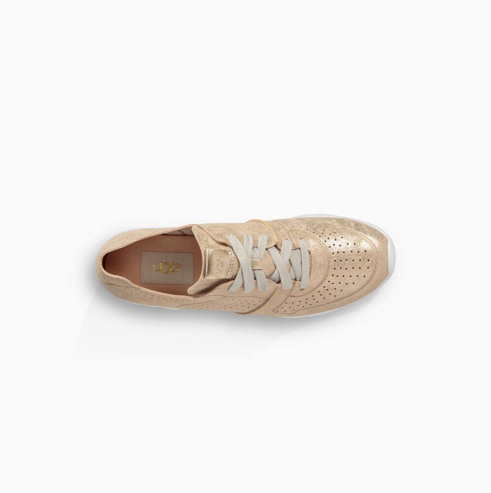 UGG Tye Stardust Sneakers Damen Gold Schweiz | EGCQ1SL2