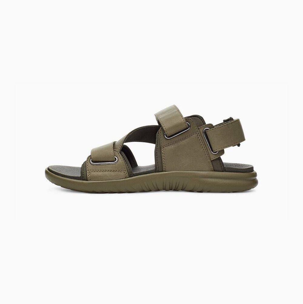 UGG Union Riemen Sandalen Herren Grün Schweiz | P0MX6HD7