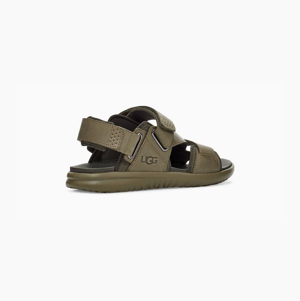 UGG Union Riemen Sandalen Herren Grün Schweiz | P0MX6HD7