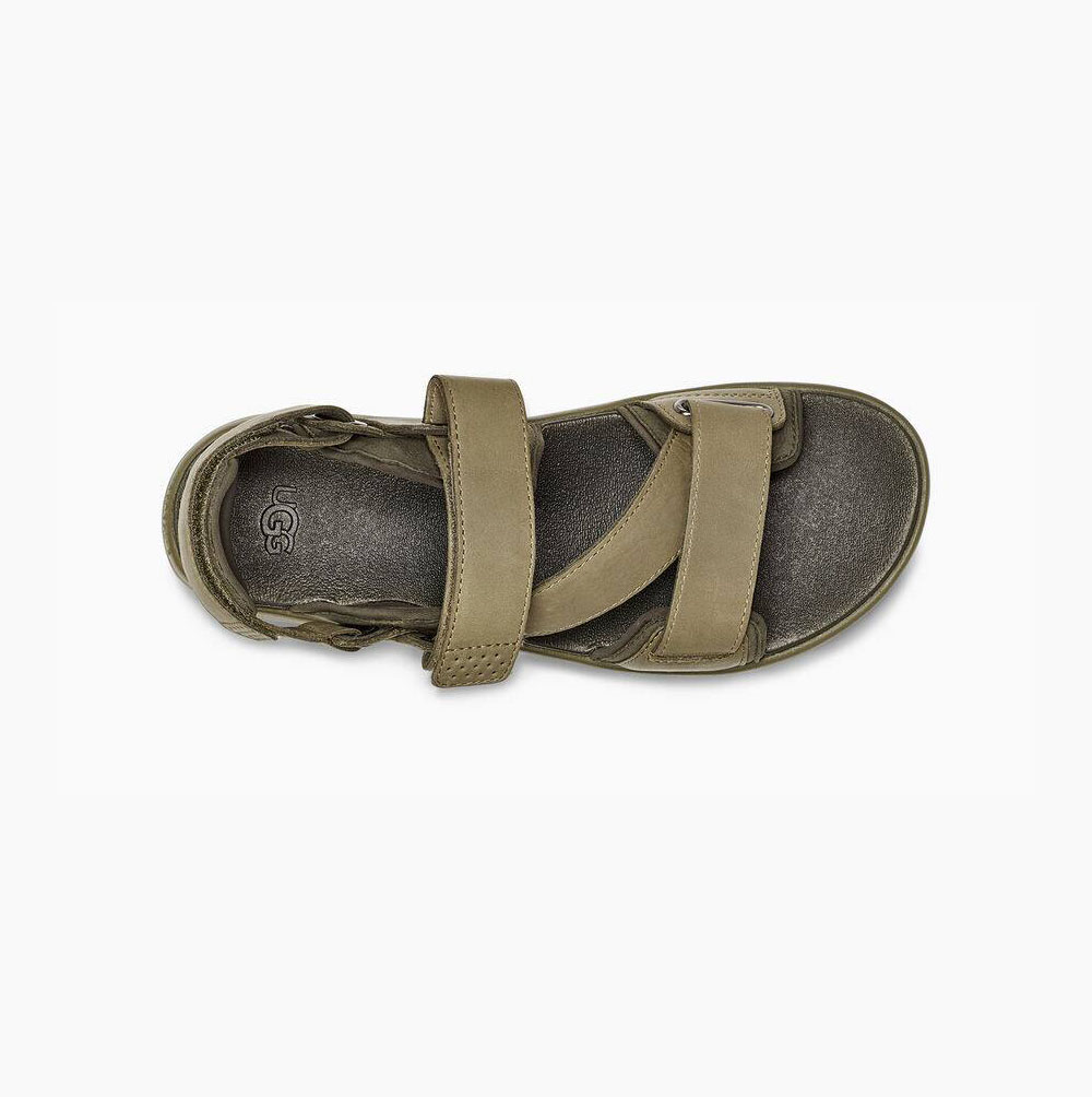 UGG Union Riemen Sandalen Herren Grün Schweiz | P0MX6HD7