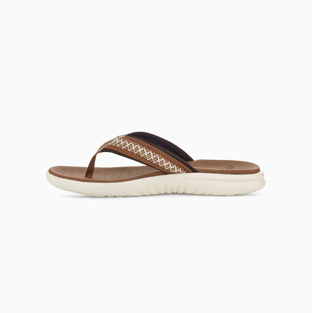 UGG Union Tasman Flip Flops Herren Braun Schweiz | 6CBHRYTM