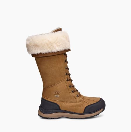 UGG Adirondack III Hohe Winterstiefel Damen Braun Schweiz | 4VH7FXBM