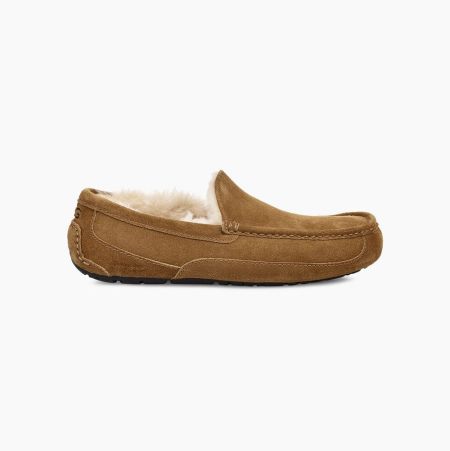 UGG Ascot Loafers Herren Braun Schweiz | QPIW3L73