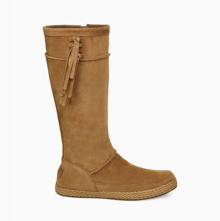 UGG Emerie Hohe Knee High Boots Damen Braun Schweiz | 1EPQETFX