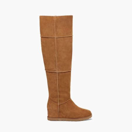 UGG Klassische OTK Over The Knee Boots Damen Braun Schweiz | ESY3P6Y8