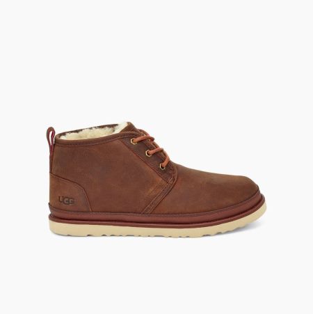 UGG Neumel Weather Stiefeletten Herren Braun Schweiz | YQPTY6P5